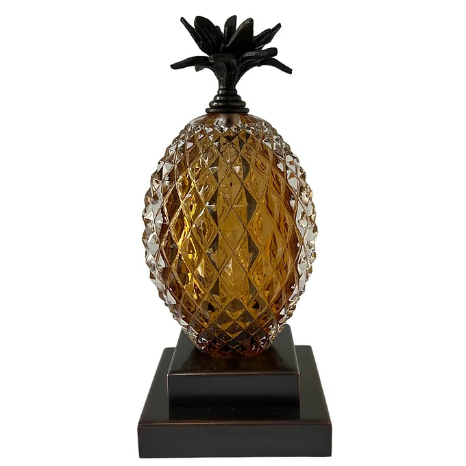 Ananas Kitap Desteği