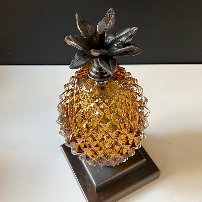 Ananas Kitap Desteği