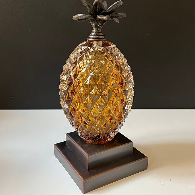 Ananas Kitap Desteği