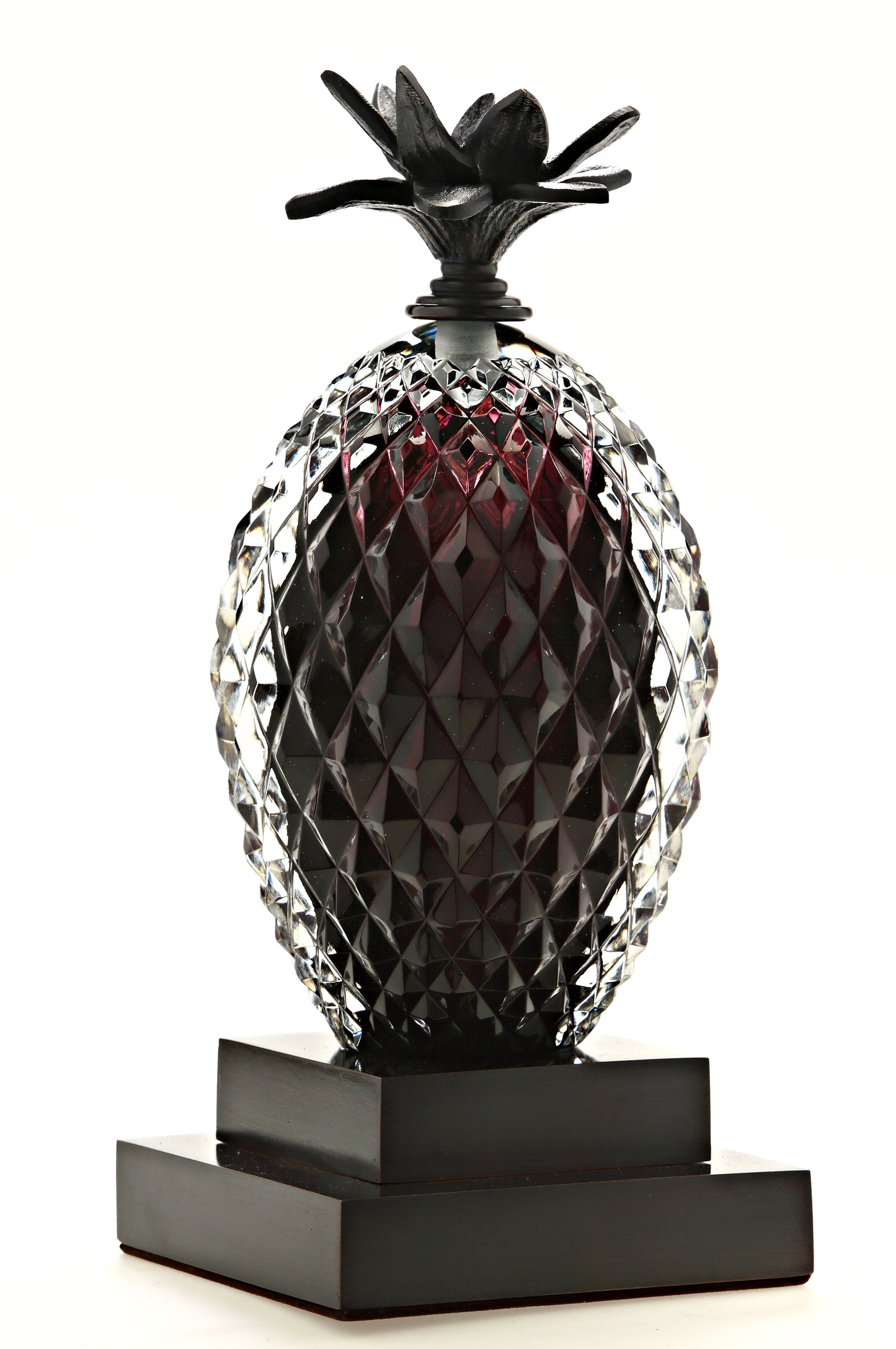 Ananas Kitap Desteği