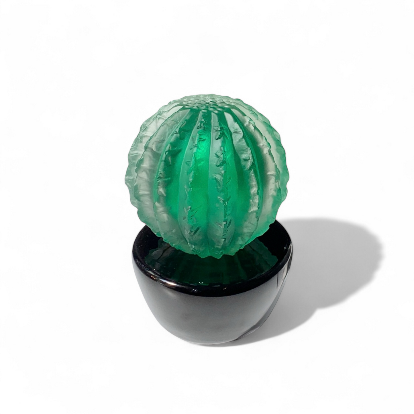 Saksıda Büyük Kaktüs Heykel