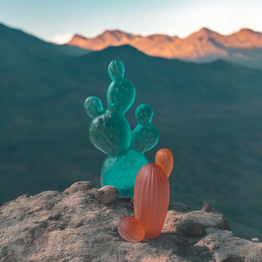 Opuntia Kaktüs Heykel