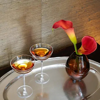 Martini Bardağı 2'li Set
