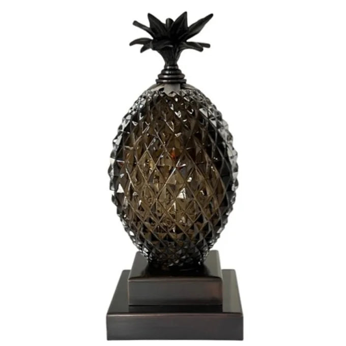 Ananas Kitap Desteği