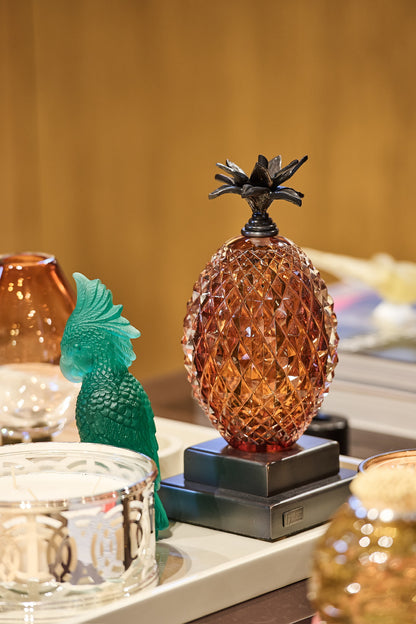 Ananas Kitap Desteği