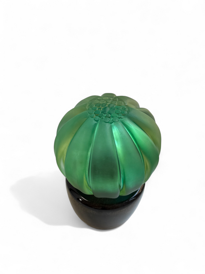 Amazonia Yuvarlak Kaktüs Heykel