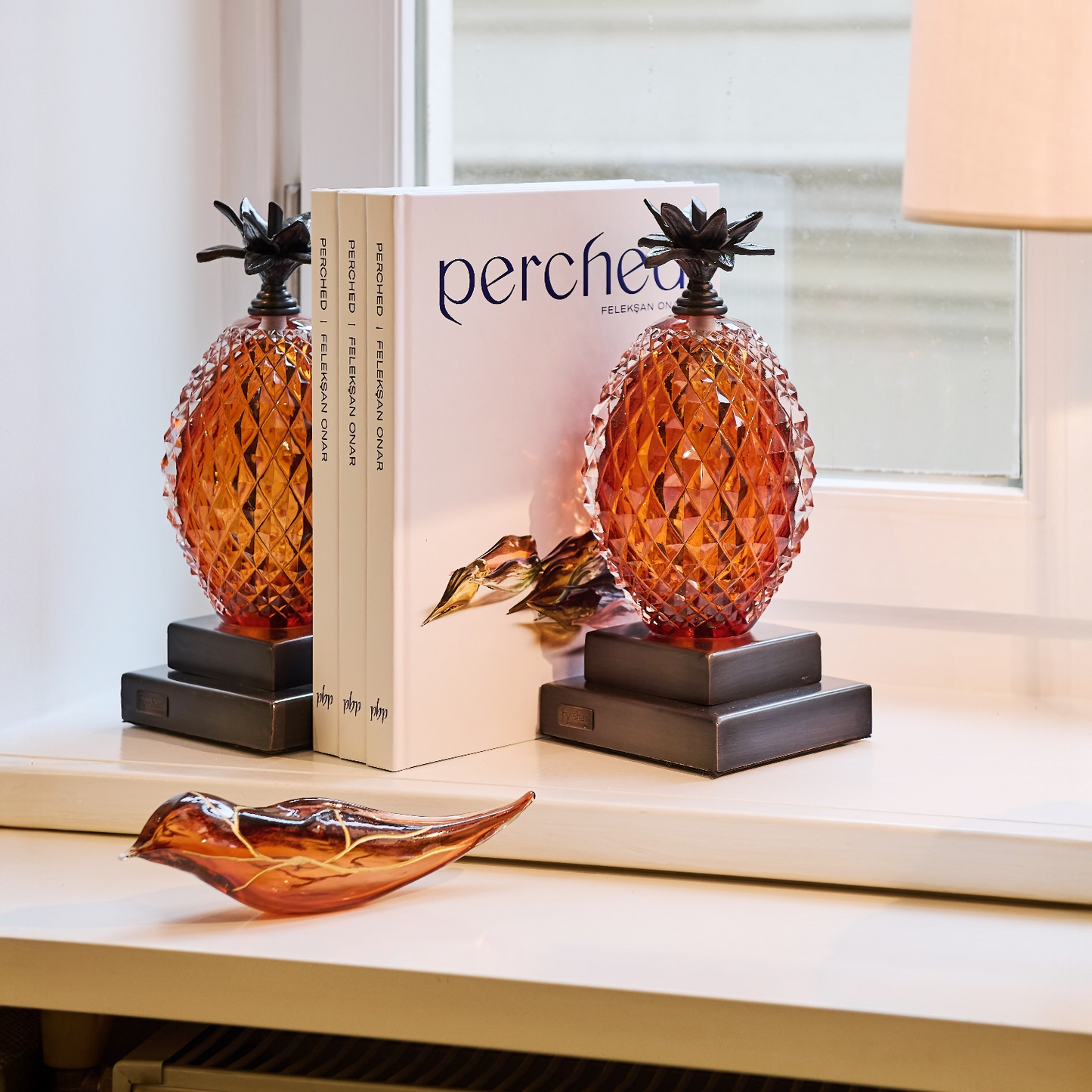 Ananas Kitap Desteği